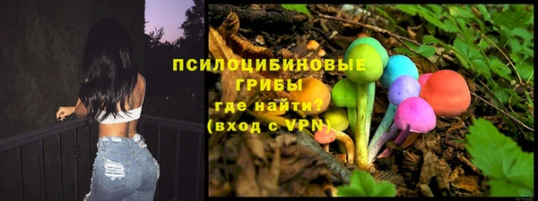 дживик Струнино